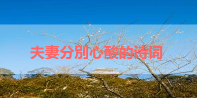夫妻分別心酸的诗词 