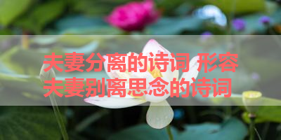 夫妻分离的诗词 形容夫妻别离思念的诗词 