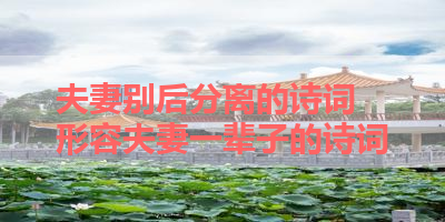 夫妻别后分离的诗词 形容夫妻一辈子的诗词