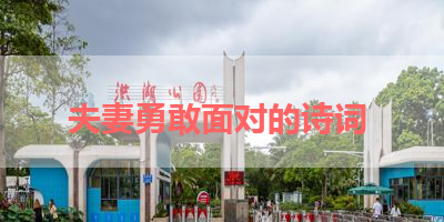 夫妻勇敢面对的诗词 
