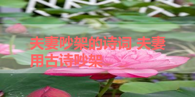 夫妻吵架的诗词 夫妻用古诗吵架 