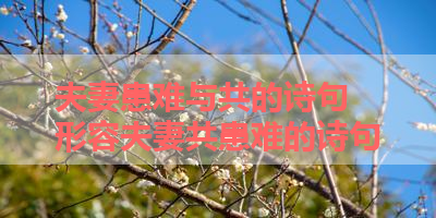 夫妻患难与共的诗句 形容夫妻共患难的诗句