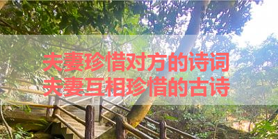 夫妻珍惜对方的诗词 夫妻互相珍惜的古诗