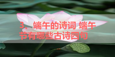 3、端午的诗词 端午节有哪些古诗四句 