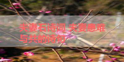 夫妻石诗词 夫妻患难与共的诗句 