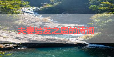 夫妻结发之恩的诗词 