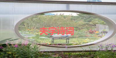 夫字诗词 