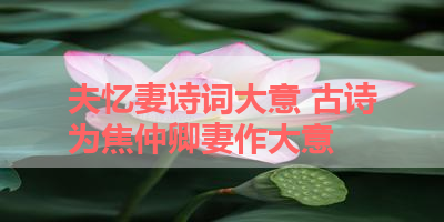 夫忆妻诗词大意 古诗为焦仲卿妻作大意