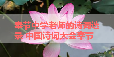 奉节中学老师的诗词选录 中国诗词大会奉节