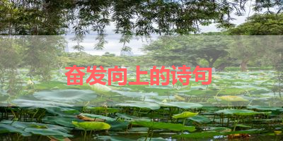 奋发向上的诗句 
