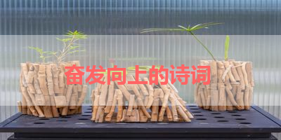 奋发向上的诗词 