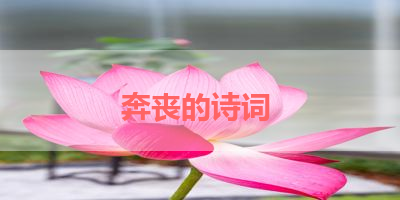 奔丧的诗词 
