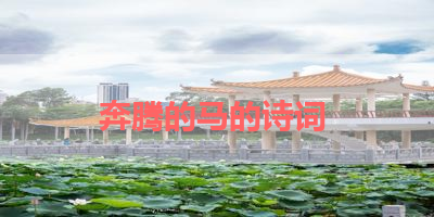 奔腾的马的诗词 
