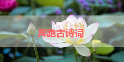 奔跑古诗词 