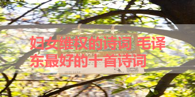 妇女维权的诗词 毛译东最好的十首诗词