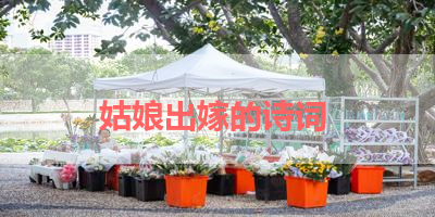 姑娘出嫁的诗词 