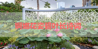 婀娜花姿碧叶长诗词 