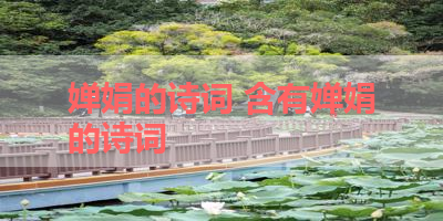 婵娟的诗词 含有婵娟的诗词