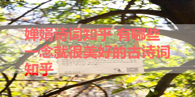婵娟诗词知乎 有哪些一念就很美好的古诗词知乎 