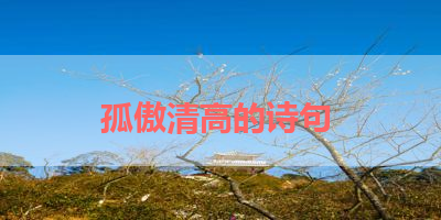 孤傲清高的诗句 
