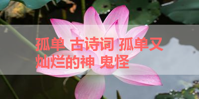 孤单 古诗词 孤单又灿烂的神 鬼怪