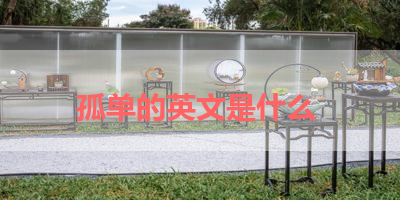 孤单的英文是什么 