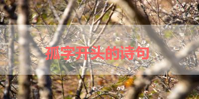 孤字开头的诗句 