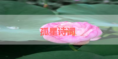 孤星诗词 
