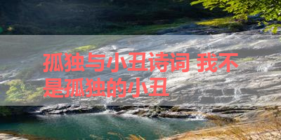 孤独与小丑诗词 我不是孤独的小丑