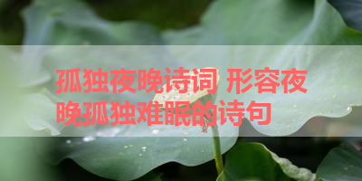 孤独夜晚诗词 形容夜晚孤独难眠的诗句 