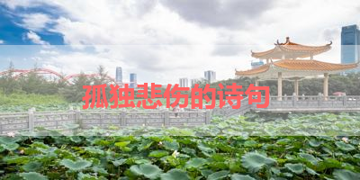 孤独悲伤的诗句 