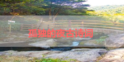 孤独的夜古诗词 