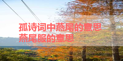 孤诗词中燕尾的意思 燕尾服的意思