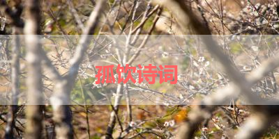 孤饮诗词 