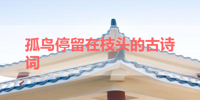 孤鸟停留在枝头的古诗词 