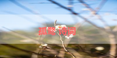 孤鹜 诗词 