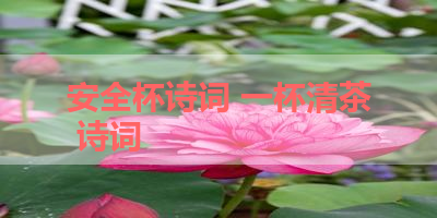 安全杯诗词 一杯清茶 诗词