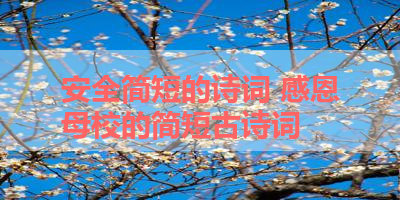 安全简短的诗词 感恩母校的简短古诗词