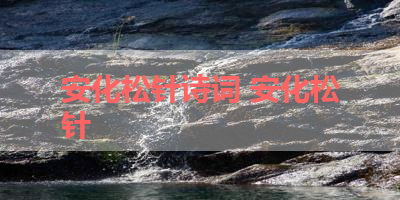 安化松针诗词 安化松针