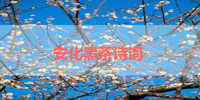 安化黑茶诗词 