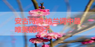 安古诗词 纳兰词中最唯美的句子