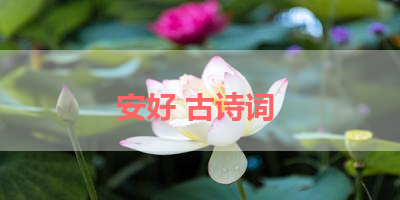安好 古诗词 
