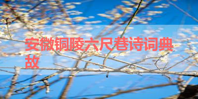 安微铜陵六尺巷诗词典故 