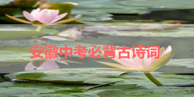 安徽中考必背古诗词 
