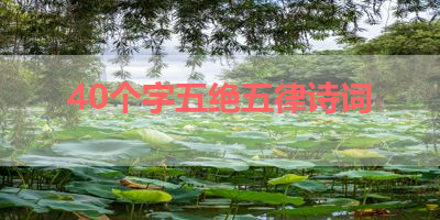 40个字五绝五律诗词 
