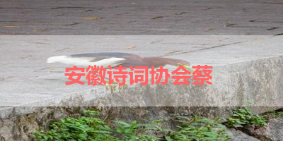 安徽诗词协会蔡 