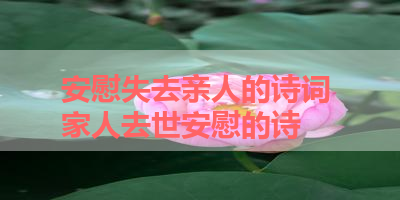 安慰失去亲人的诗词 家人去世安慰的诗