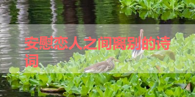 安慰恋人之间离别的诗词 