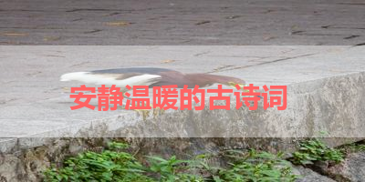 安静温暖的古诗词 