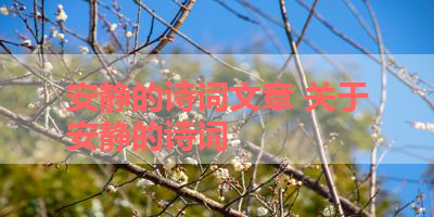 安静的诗词文章 关于安静的诗词 
